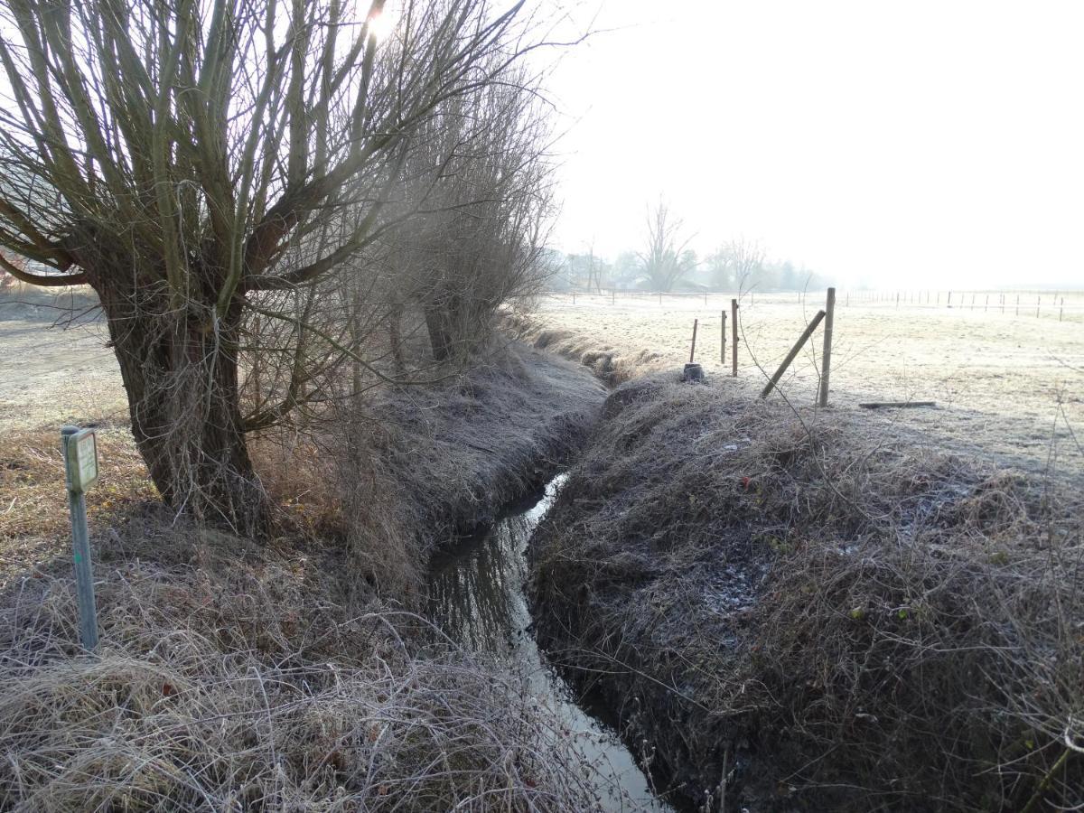 Au Fond Des Rys Panzió Grez-Doiceau Kültér fotó